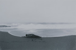 代表画像